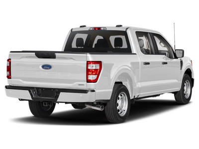 2021 Ford F-150 XL Paint Match Bed Cap-