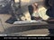 2024 Ford Mustang Mach-E Premium EXT RANGE