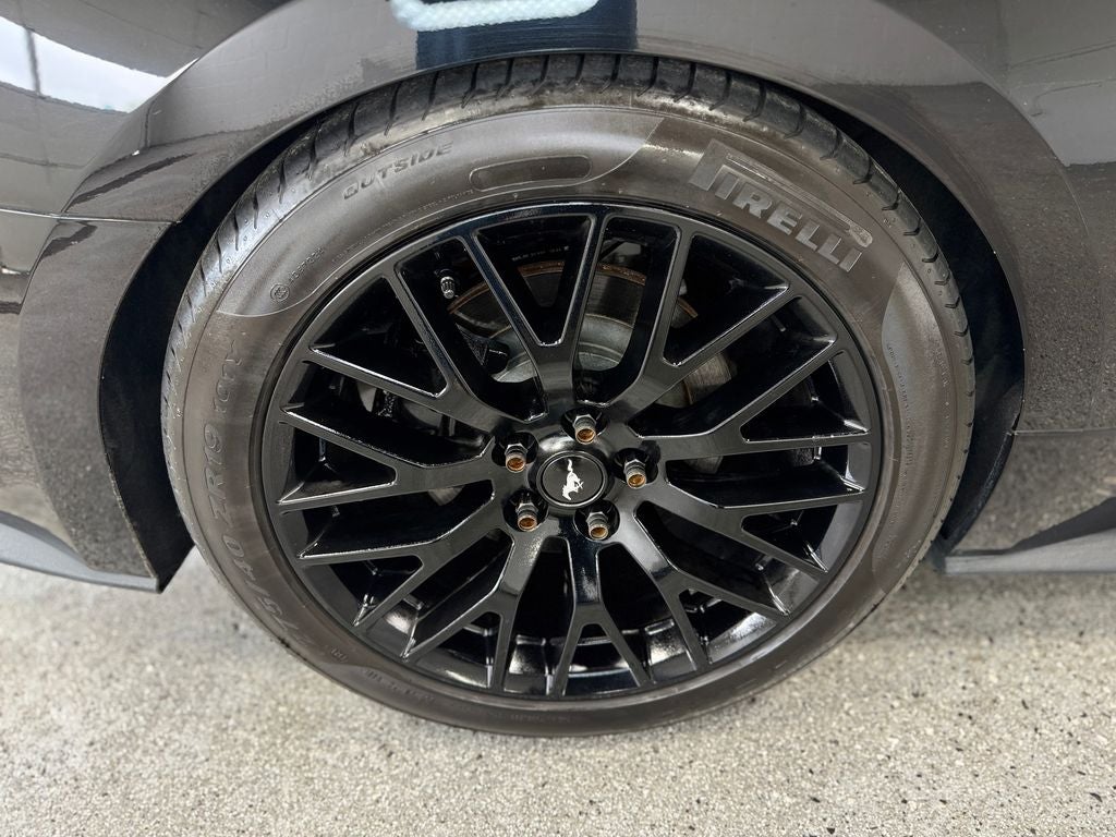 2019 Ford Mustang GT Premium