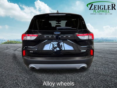 2020 Ford Escape SE Exterior Parking Camera Rear