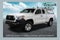 2023 Toyota Tacoma SR Ladder Rack and Paint Match Up Fit