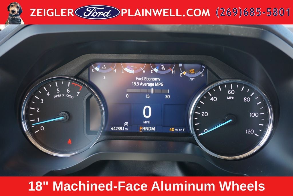 2023 Ford Expedition XLT 4x4 Leather Rear Camera