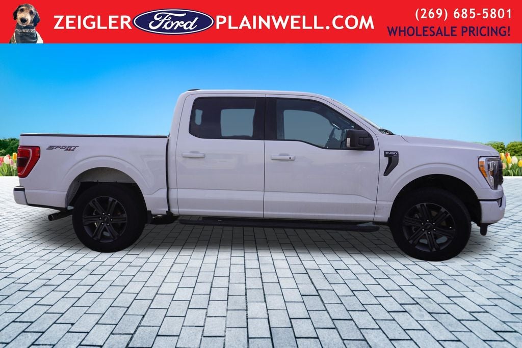 2023 Ford F-150 XLT 2.7L TWIN PANEL ROOF SPORT APPEARANCE PKG REAR SL