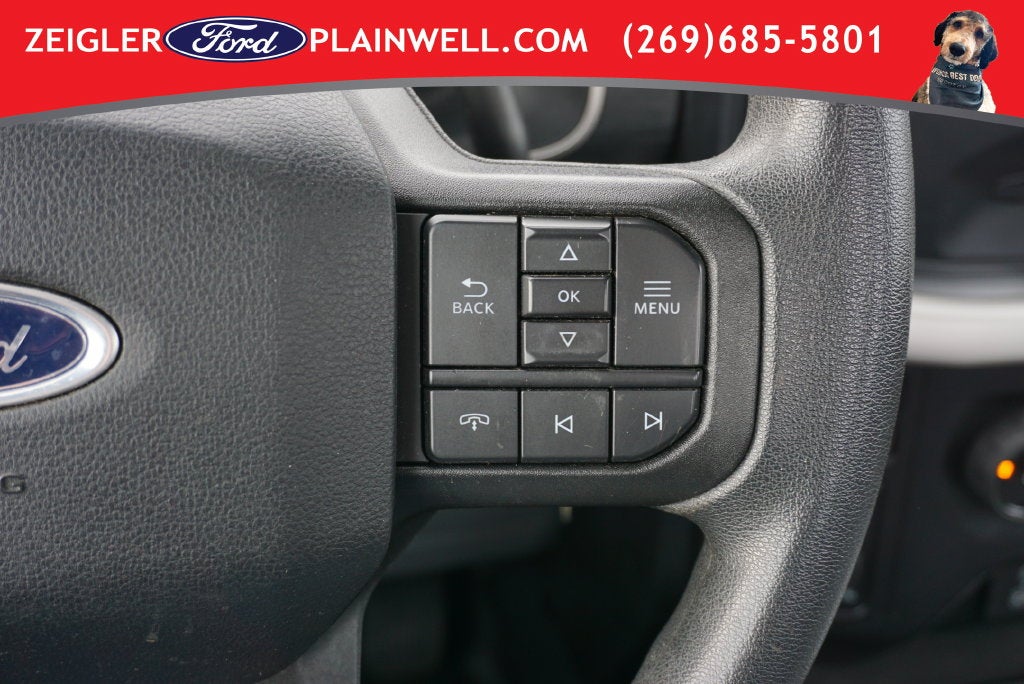 2021 Ford F-150 XL Reg Cab 4x4 Rear Camera