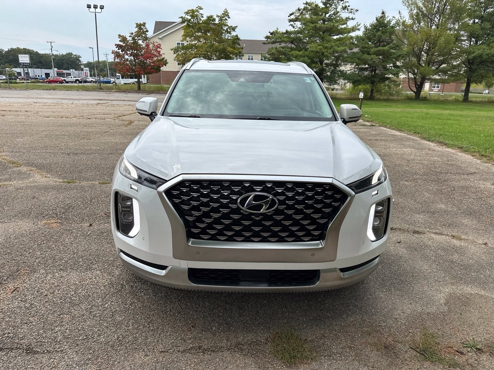 2021 Hyundai Palisade Calligraphy